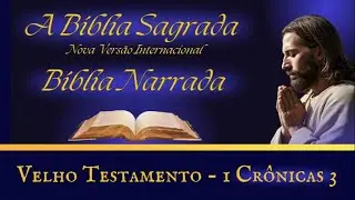 1 Cr&ocirc;nicas 3 (B&iacute;blia Narrada)