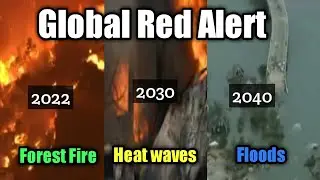 Global Code Red Alert Explained in Tamil|Madras Mentos|