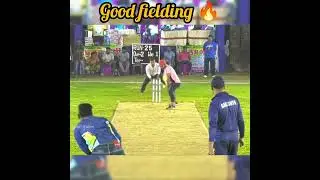 💥great fielding 🔥🏏 #cricket #foryou #cricketlover #highlights 💥 nadia local sports 💥#vairalvideo 💥