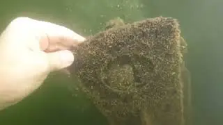 Deep Z Dockside Services 11
