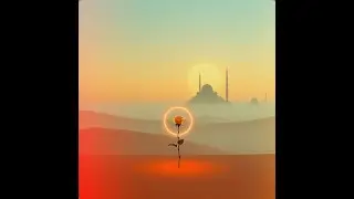 Bir Gönlün İki Yarısı