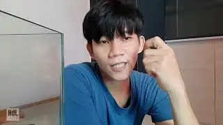 Perbedaan Kaca Biasa Dan Kaca Optic Clear (Crystal Clear)