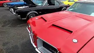 AMAZING CARS AT REGIONAL SHOW | PART 2