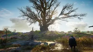 Assassin's Creed Valhalla. Treasure, exploration, combat, cursed area. PS5 60FPS gameplay