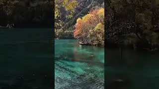 Five flower lake china 🇨🇳 #subscriber #newvideo #subscribers #youtubevideo #youtub #youtuber