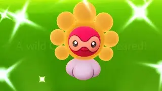 Wait! Wild Shiny Castform?
