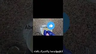مخمرية فازلين 