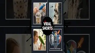 Short Shorts 📈  🎥 Daily (24/11/25) #shild #katana #parrot #militarytraining #siblings