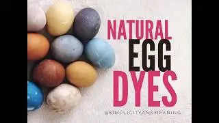 DIY Natural Easter Egg Dyes