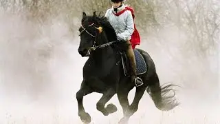 ZAFIR - DER SCHWARZE HENGST - deutscher Trailer