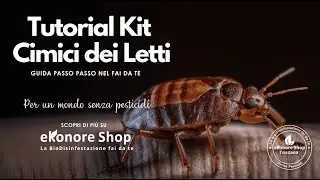 Eliminare le Cimici dei letti con Il Kit Insetticida Naturale Fai Da Te di EkonoreShop