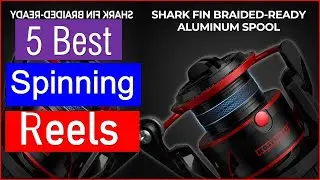 Best  Spinning Reels in 2026 | Top 5 Best  Spinning Reels - Reviewed