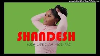 SHANDESH TYPE BEAT 2025