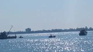 Reef World trip off Sarasota with #Capt Nikki