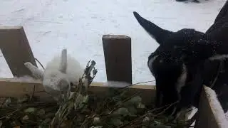 VID 20190112 141238