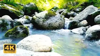 Gentle Stream Sounds, Relaxing Stream Sounds, Relaxation, Sound Of The Gentle Stream, Sleep Sounds