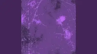 800