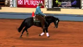 High Roller Whiz ridden by Jordan Larson - 2014 NRHA Derby(Open Derby Finals)