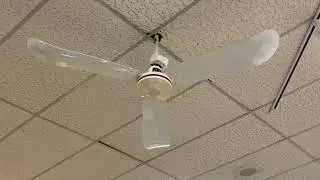 Ceiling fans at John Kirk Furniture (2023 Remake)