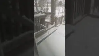 our only brave kitty 🐈🧡🤍 #reallife #winter #bravekitty