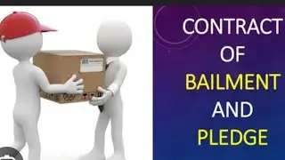 Bailment| Commercial Law|SNS Institutions
