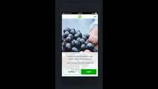 My Woolies Invision Prototype