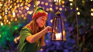 Commercial WinterDroom 2024 -  Pantropica