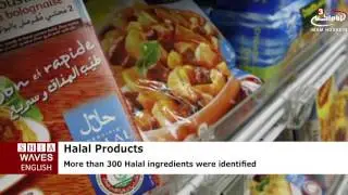 Halal ingredients worth billions worldwide .2016/06/23