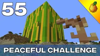 Peaceful Challenge #55: Mellionaires