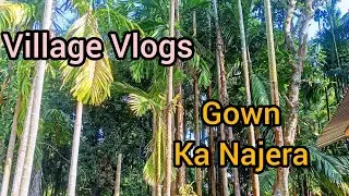 Village Life Vlogs Disambor 2025 Last Maths 🌅