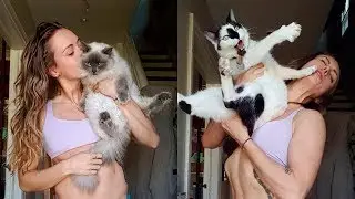 Awesome Funny Pet Animals Life Video - Funny Animal Fails Compilation 2019