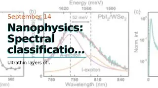 Nanophysics: Spectral classification of excitons
