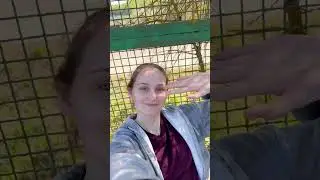 Погнали с нами на дачу! #reggae #music #rap #дача #майскиепраздники #весна #шашлык