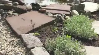 Ecologische hovenier Het Klaverblad