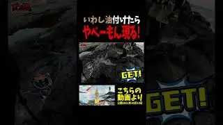 いわし油を塗ったエギを投げたら化け物釣れた