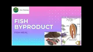 Fish Byproducts Processing (1/2): Dr. Mandal PK