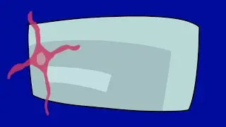 Danger 2024 rerun
