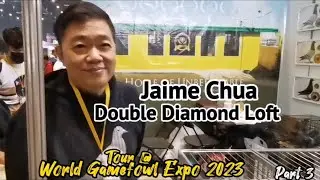 World Gamefowl Expo 2023, Jaime Chua, Double Diamond Loft, Tour, Part3