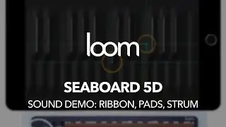 Loom: Seaboard 5D on iPad