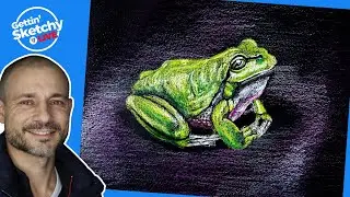 Drawing a Frog with Colored Pencils - Live Drawing Exercise