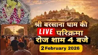 LIVE परिक्रमा श्री बरसाना धाम की हर रोज शाम 4 बजे श्रीजी की कृपा से Day-173🪷 02/02/26 ☎️8595252064🪷