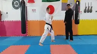 10- Aplica&ccedil;&otilde;es e dicas Taikyoko chudan dai ichi -Treinamento completo - Taikyoku - Goju Ryu