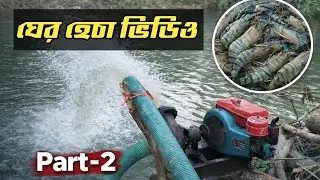 ঘের ছেঁচা দিয়ে গলদা চিংড়ি ধরা | পানির পাম্পে মাছ ধরা | Part-2 #FishHarvest #BanglaVlog #Part2 