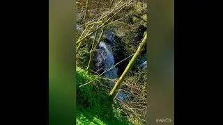 Combe Park & Hillsford Bridge , Devon , UK