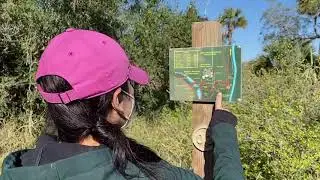 BTV Vamos: Sabal Palm Sanctuary