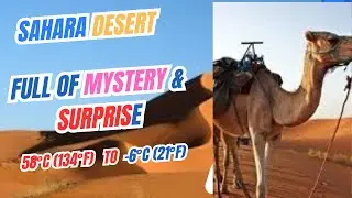 The Sahara Desert Is Way More Mysterious Than You Think!