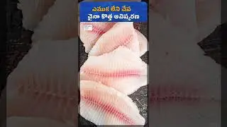 China Scientists Create World&rsquo;s First Boneless Carp Using CRISPR Gene Editing | Fishery News Telugu