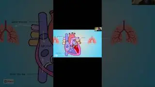 Cardiopulmonary Project Example-   Made with Clipchamp