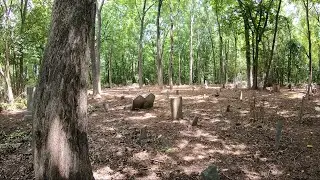 &lsquo;Piece of history&rsquo;: City to relocate dozens of graves dating back to the 1800s in Monroe | WSOC-TV