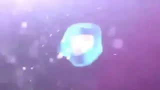 Free shockwave intro template no text